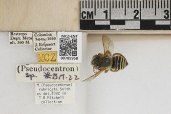 Media type: image;   Entomology 785958 Aspect: Labels